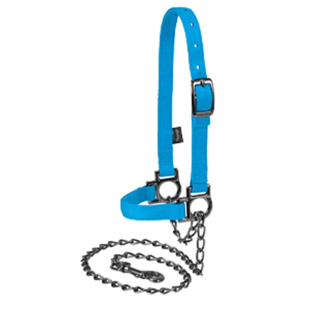 image of Nylon Adjustable Sheep Halter with Chain Lead, Hurricane Blue