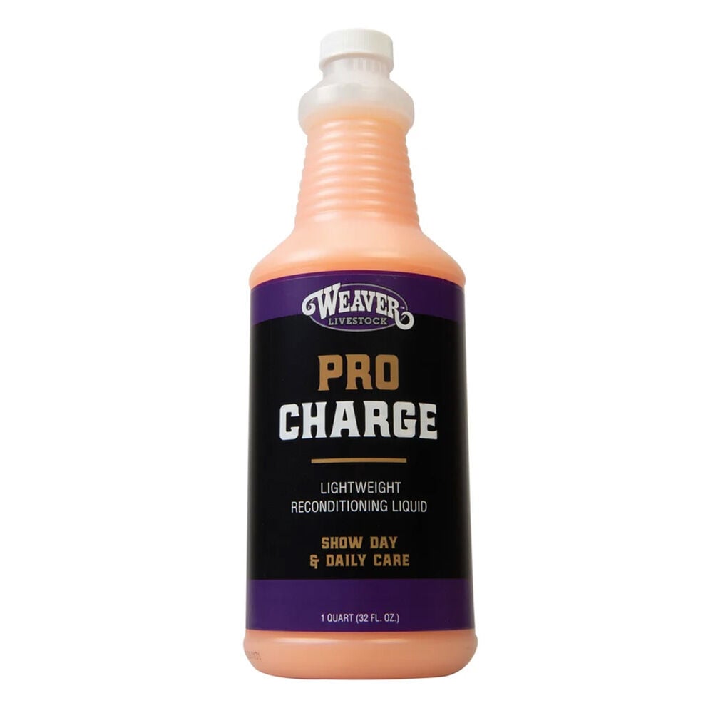 image of ProCharge Reconditioning Liquid, 1 qt