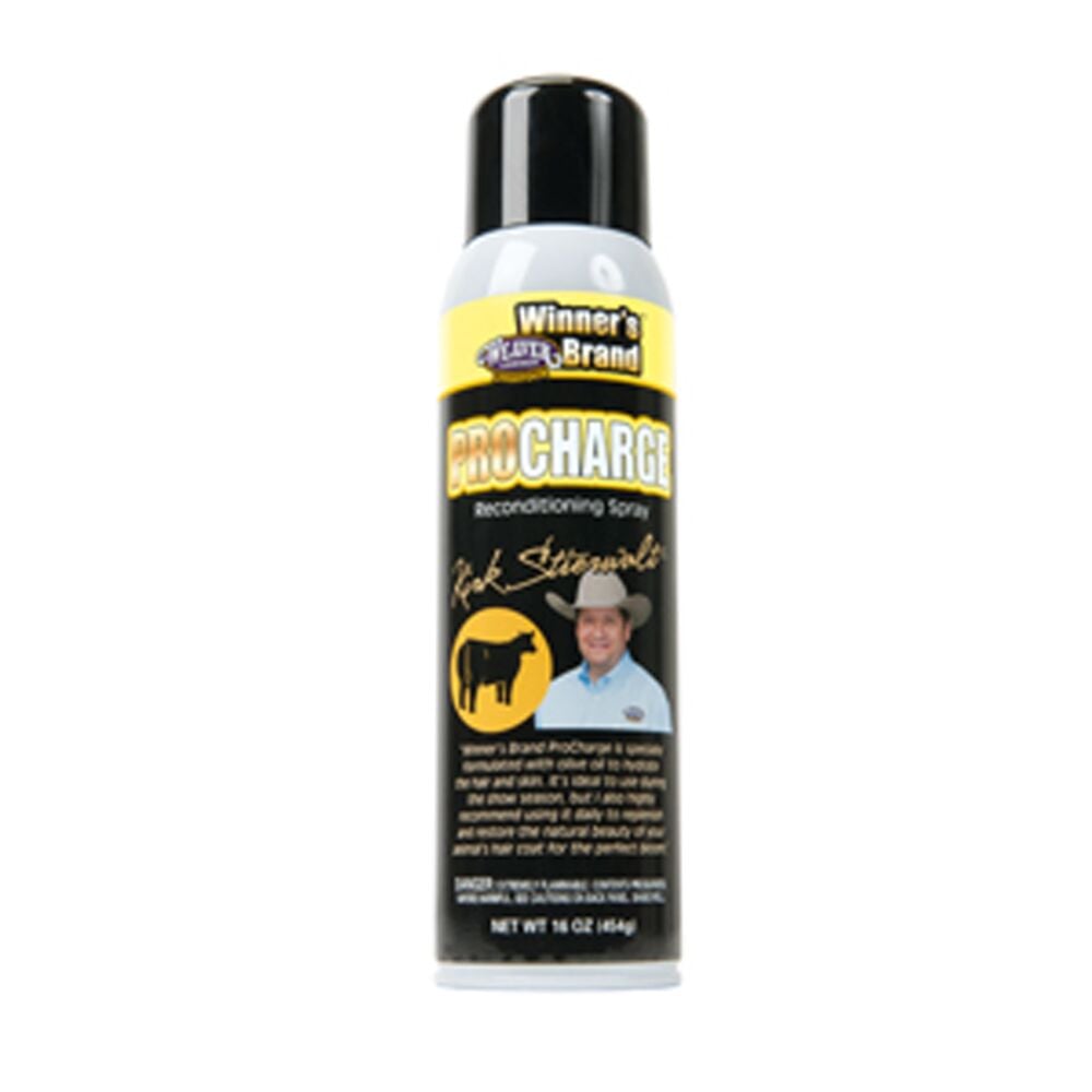 image of ProCharge Lightweight Reconditioning Spray