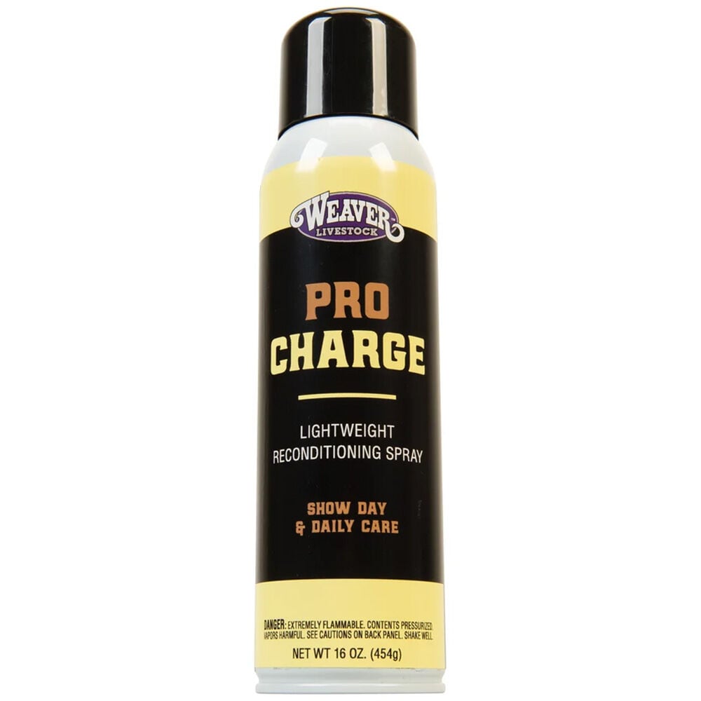 image of ProCharge Reconditioning Spray, 16 oz