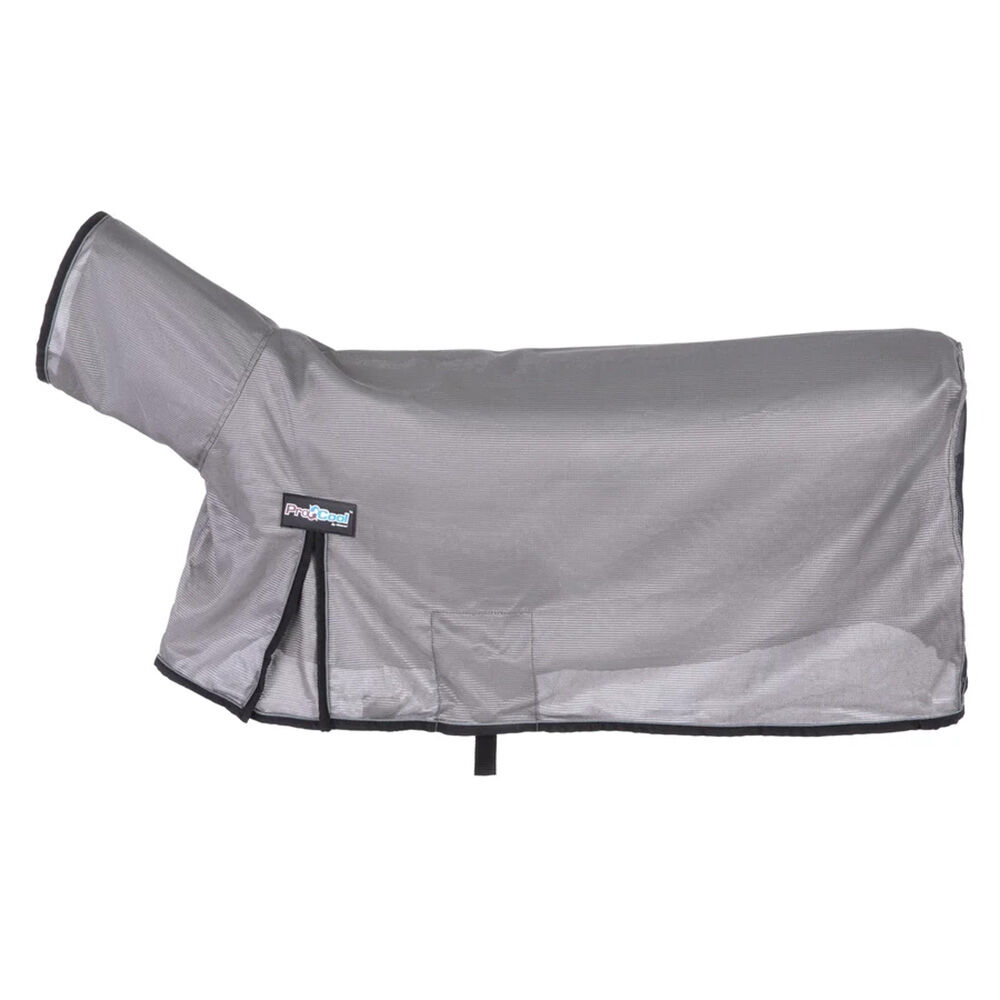 image of ProCool Sheep Blanket with Reflective Piping, Medium, Gray
