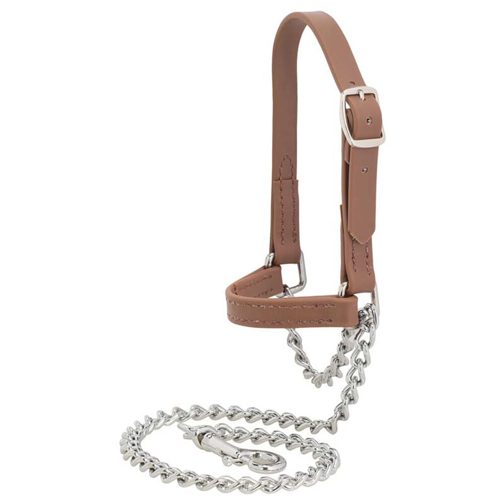 image of Brahma Webb Goat Halter, Russet Brown, Large