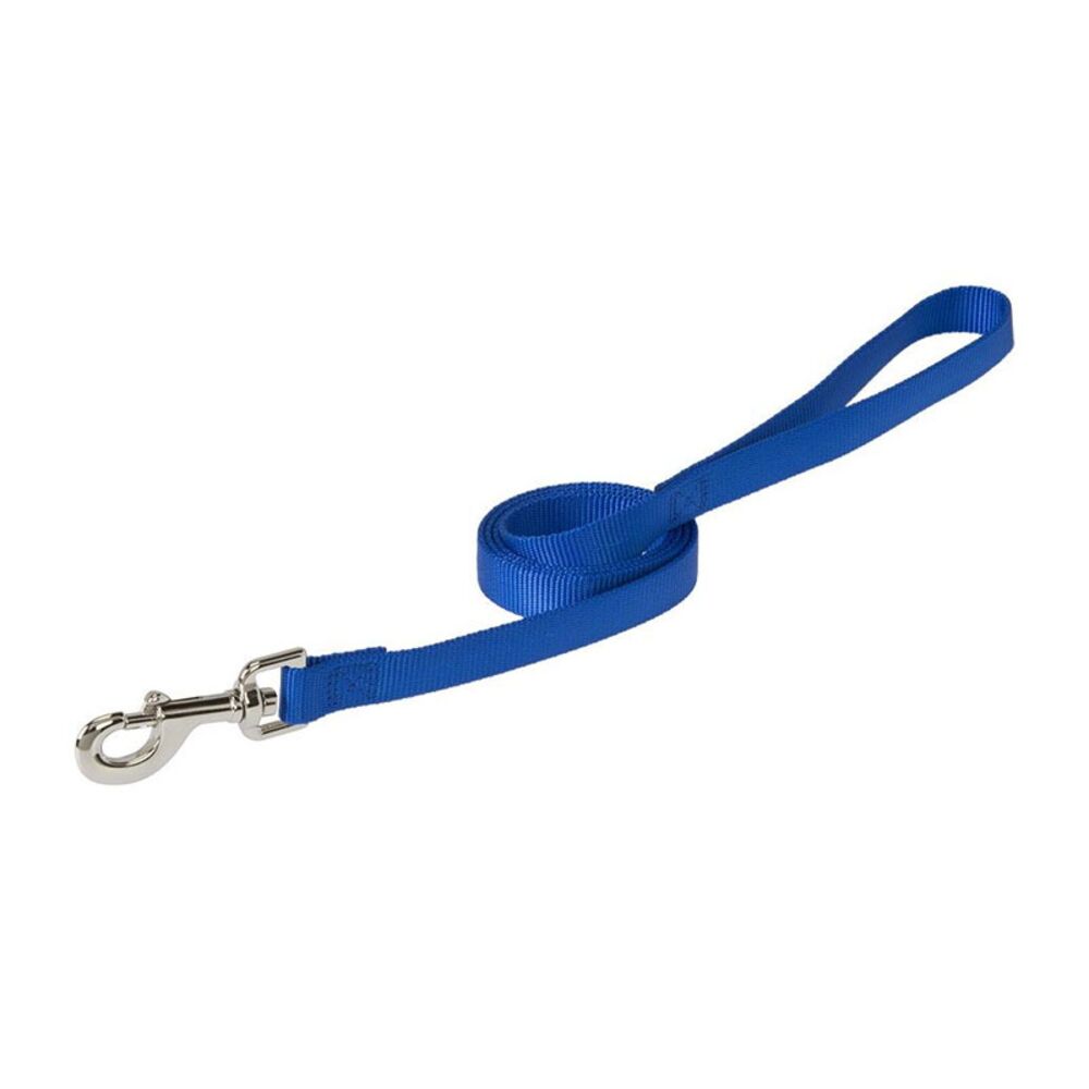 image of Choice Leash, Nylon, Blue, 3/4-inch x 4-foot