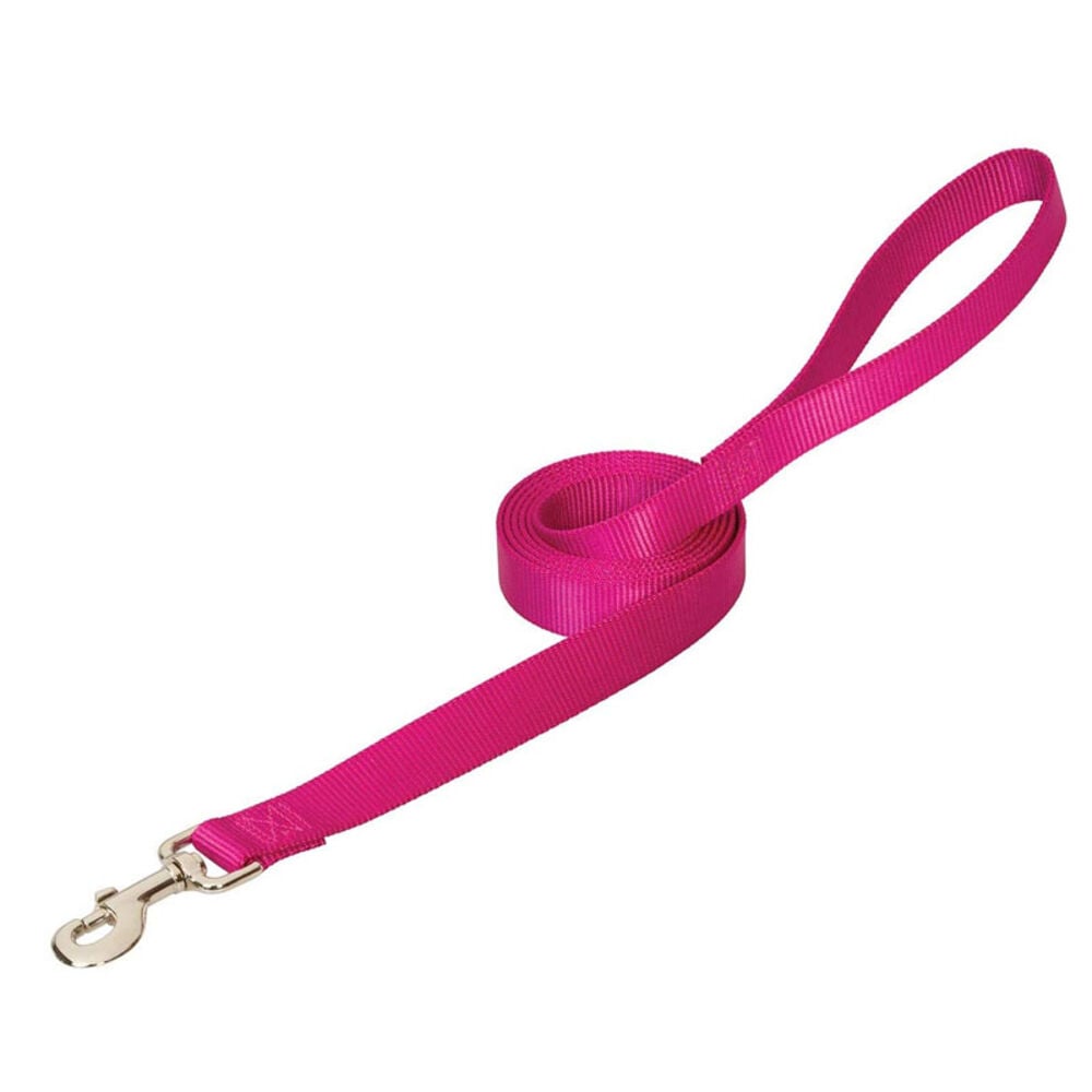 image of Leash, 3/4-inch x 4-foot, Raspberry
