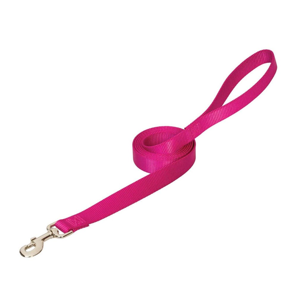 image of Leash, 3/4-inch x 6-foot, Raspberry
