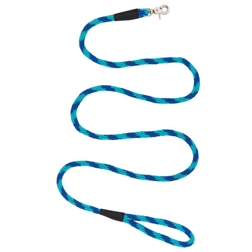image of Rope Leash, Dazzling Blue/Turquoise, 3/8 in x 4 ft