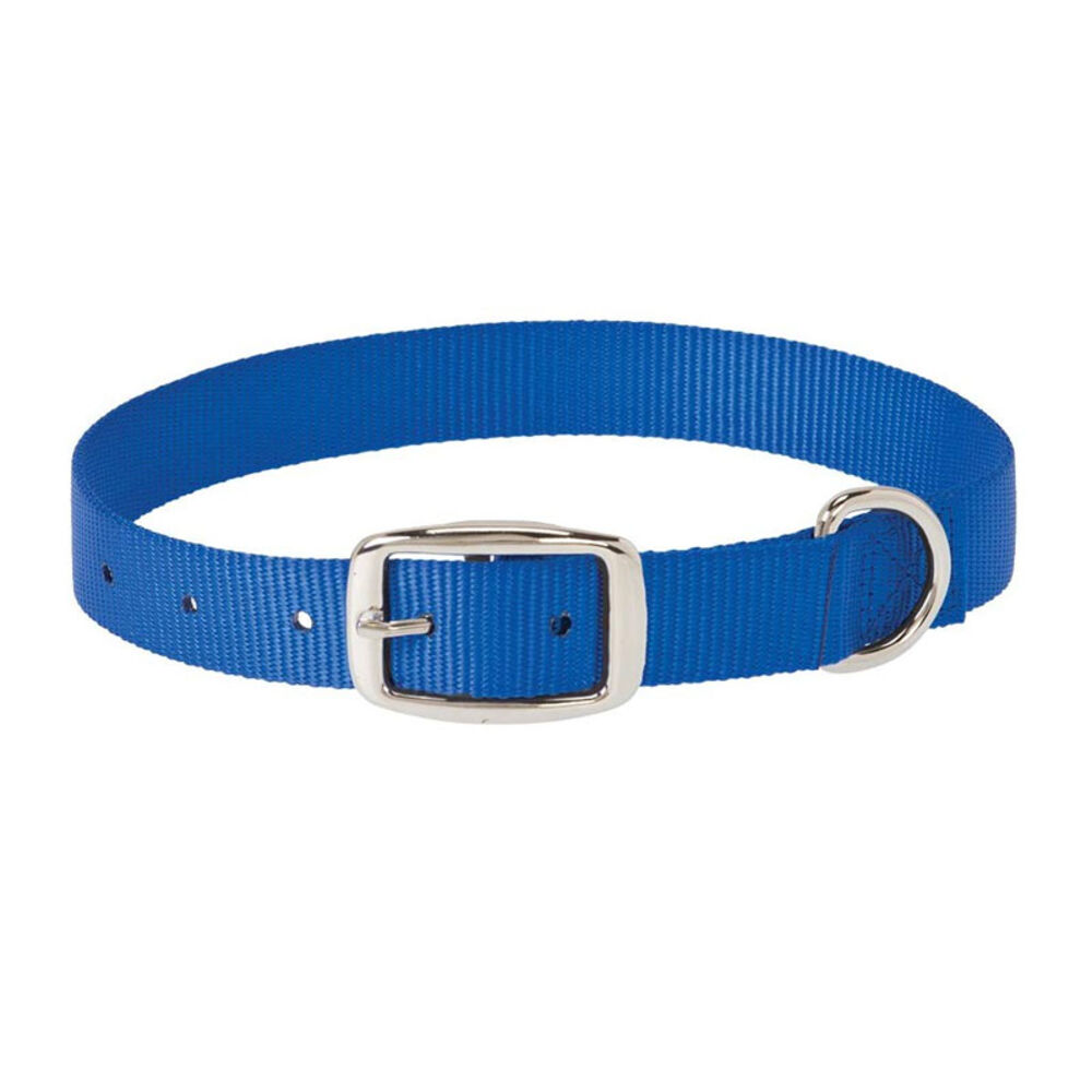 image of Choice Nylon Dog Collar, Blue, 5/8-inch X 11-inch