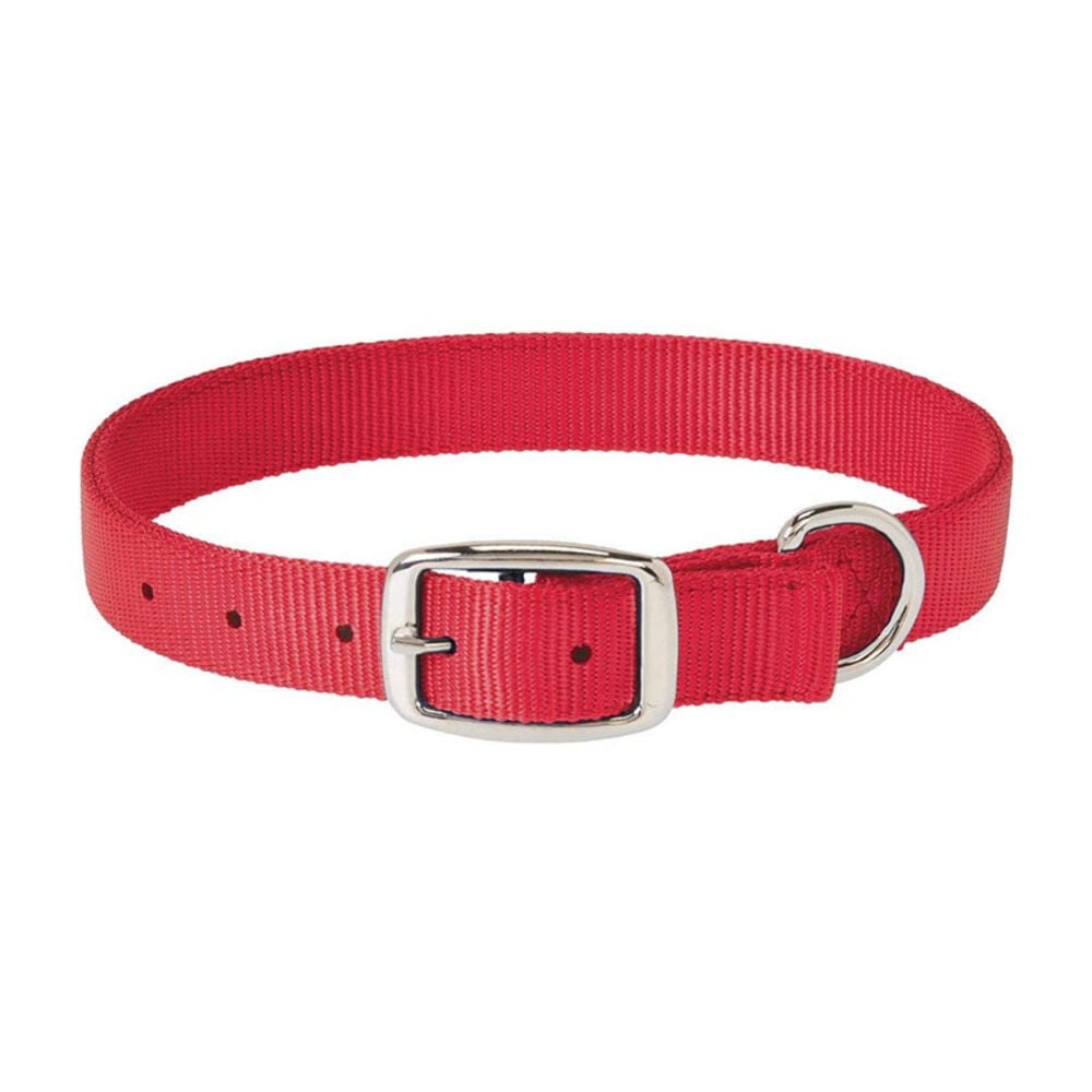image of Classic Nylon Dog Collar, Red, 1-inch X 25-inch