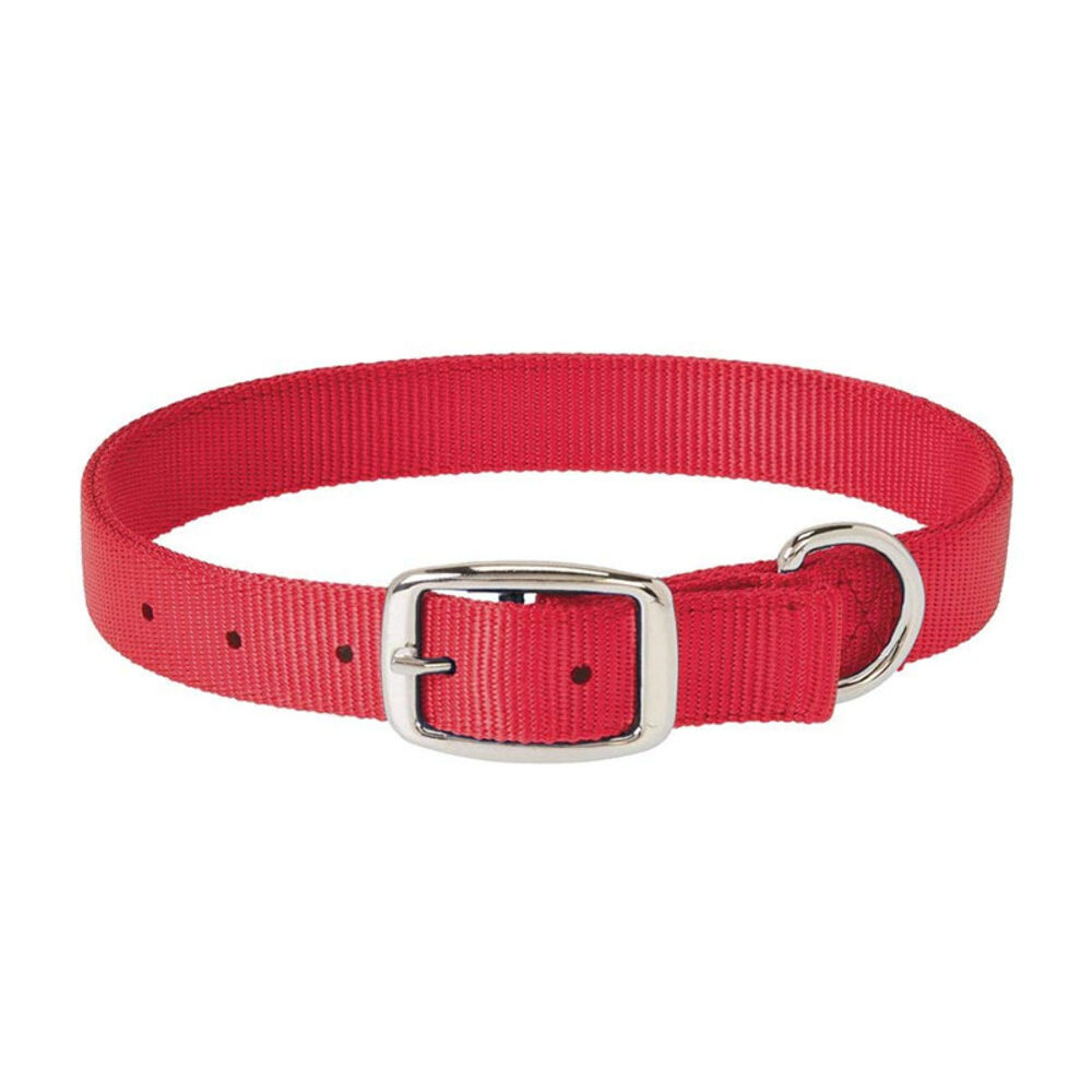 image of Choice Collar, 1-inch x 25-inch, Raspberry