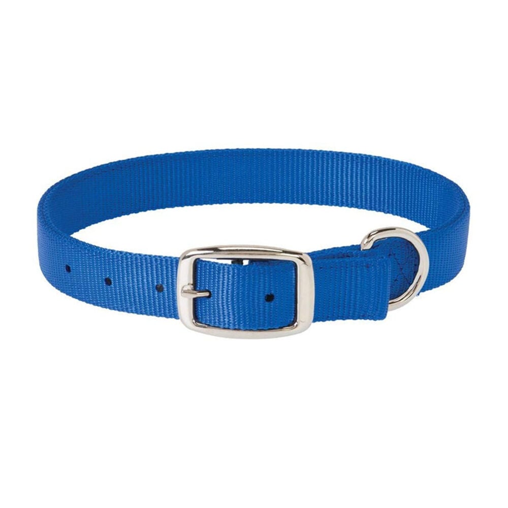 image of Choice Nylon Dog Collar, Blue, 1-inch X 23-inch