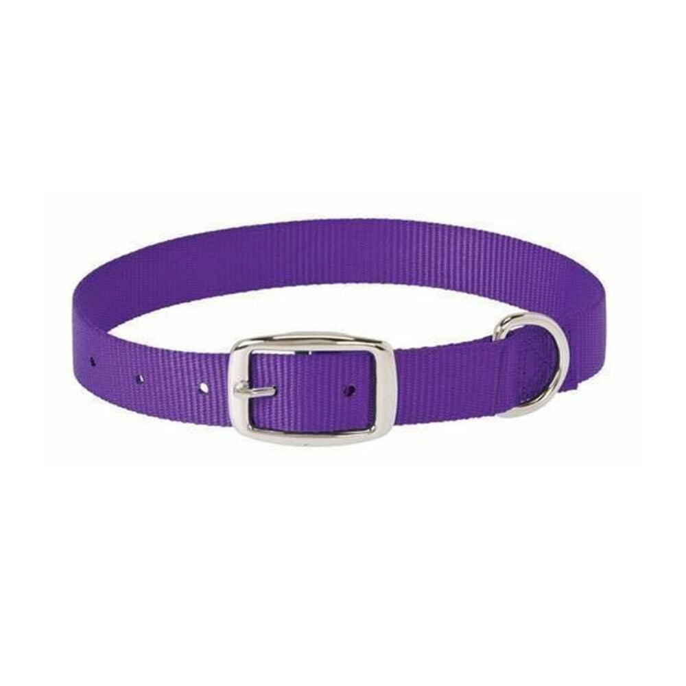 image of Single-Ply Collar, 5/8 in x 13 in, Purple