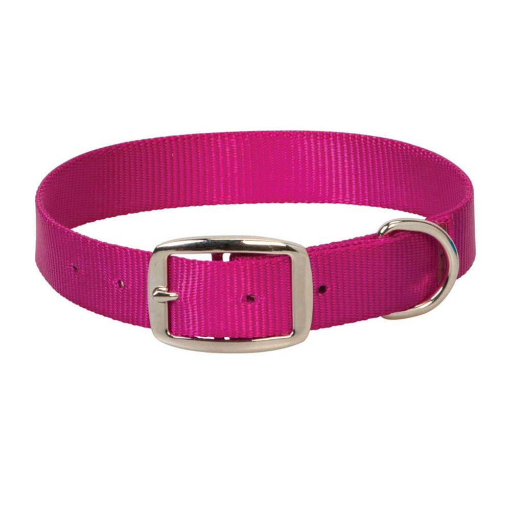image of Prism Single-Ply Collar, 1 in x 19 in, Raspberry