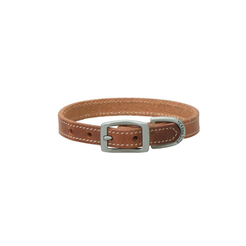 image of Harness Leather Dog Collar, 1-inch x 23-inch