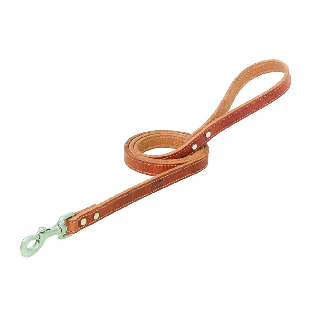 image of Harness Leather Dog Leash, 3/4-inch x 6-foot