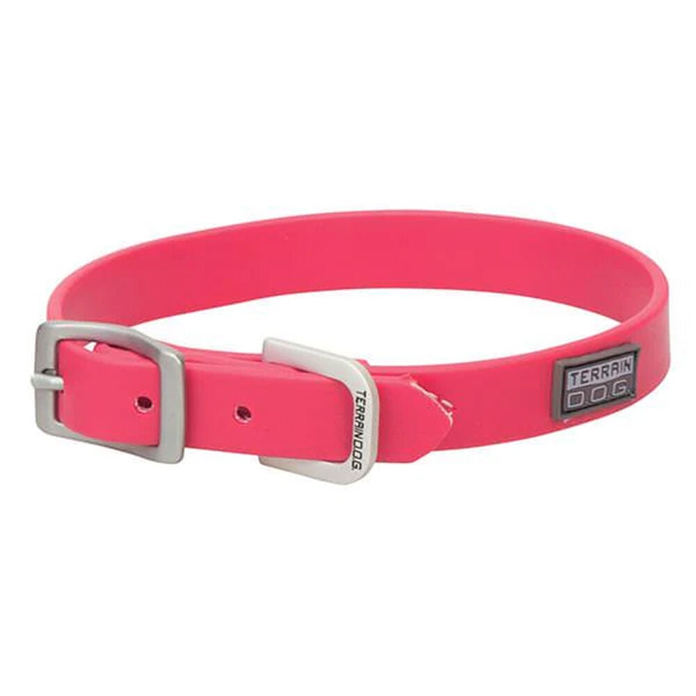image of X-Treme Adventure Dog Collar