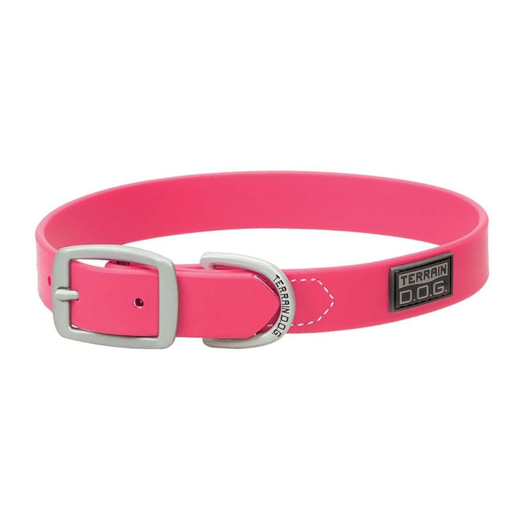 image of Brahma Webb Dog Collar, Hot Pink, 3/4 in x 17 in
