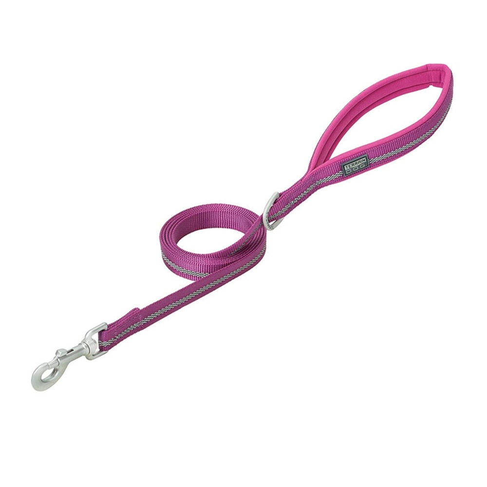 image of Reflective Neoprene Lined Dog Leash, Purple, 1-inch x 4-foot