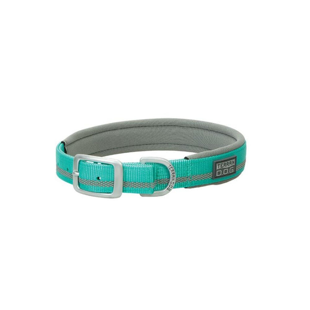 image of Reflective Neoprene Lined Dog Collar, Mint, 3/4-inch x 15-inch