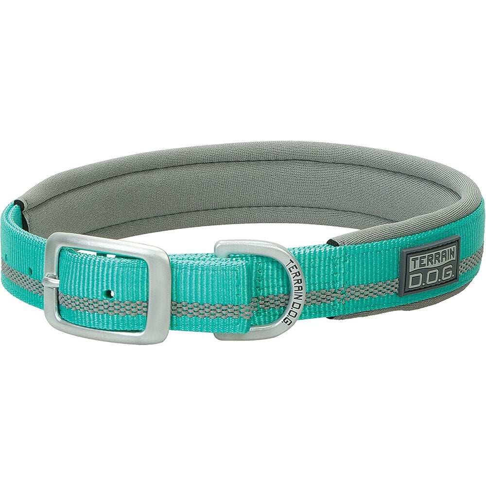 image of Reflective Neoprene Lined Dog Collar, Mint, 3/4 in x 17 in