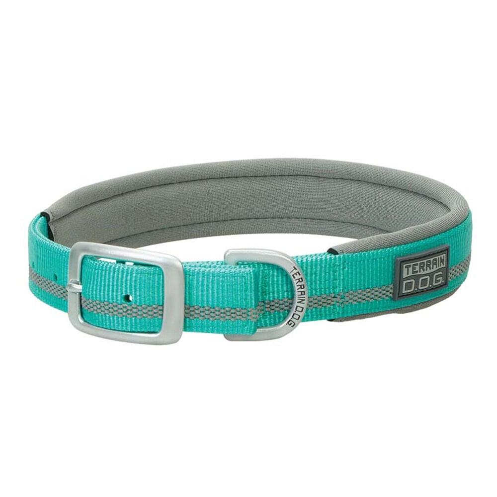image of Reflective Neoprene Lined Dog Collar, Mint, 1 in x 21 in