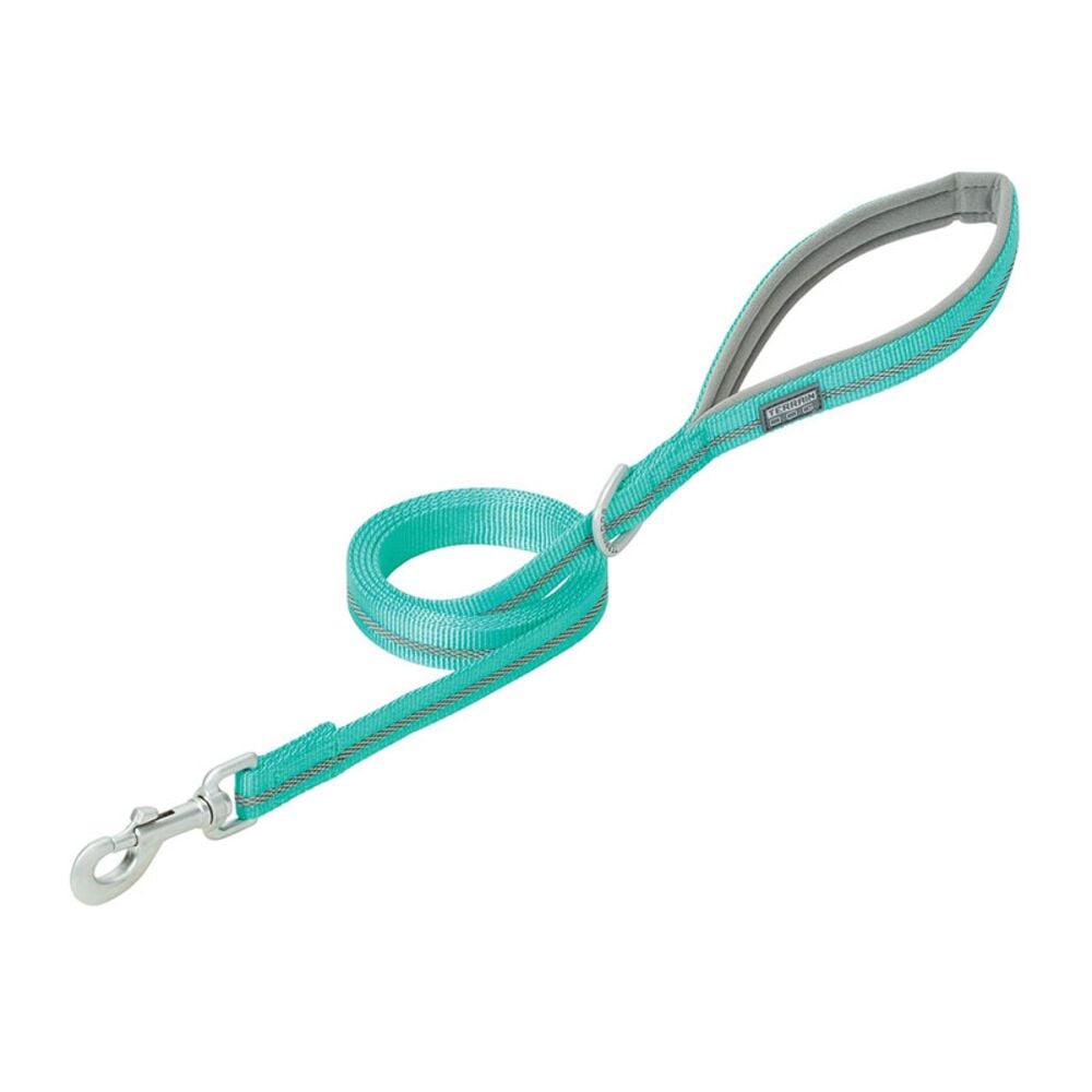 image of Reflective Neoprene Lined Dog Leash, Mint, 1-inch x 4-foot