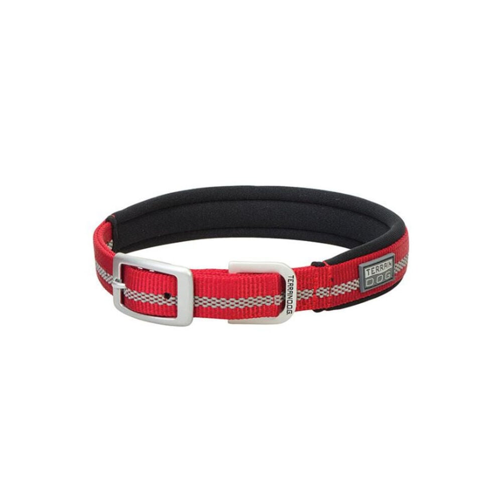 image of Reflective Neoprene Lined Dog Collar, Red, 1-inch x 21-inch