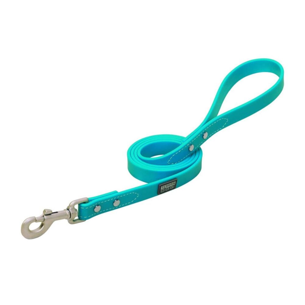 image of Brahma Webb Dog Leash, Hurricane Blue, 3/4 in x 6 ft