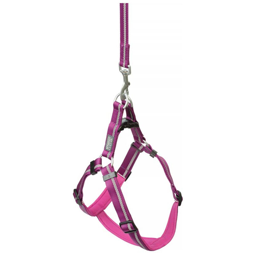 image of Reflective Neoprene Lined Dog Harness, Large, Purple