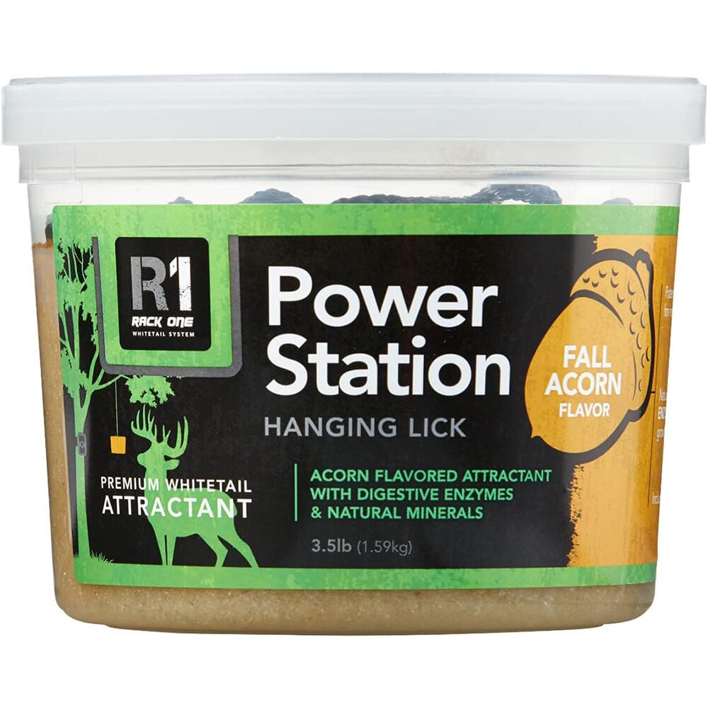 image of Hanging Lick Power Station, Acorn