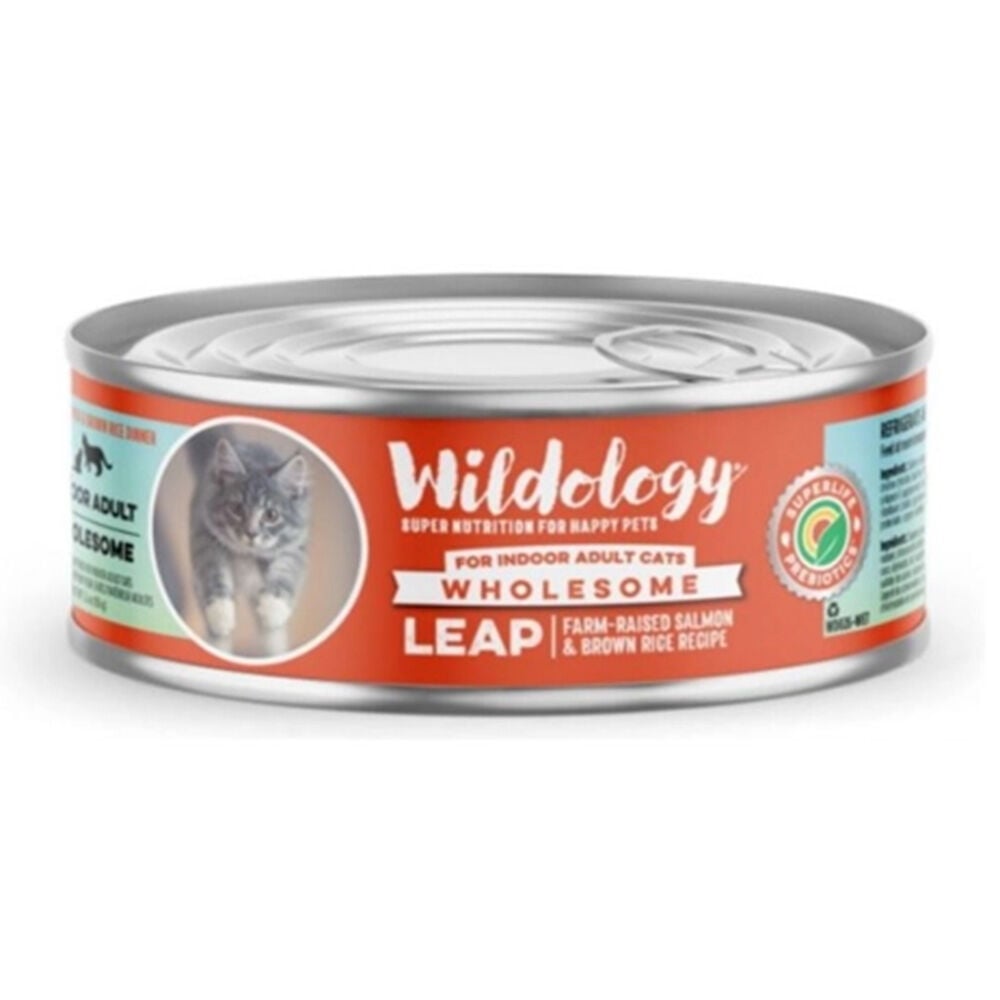 image of Wet Cat Food- LEAP Farm-Raised Salmon & Brown Rice, 5.5 oz