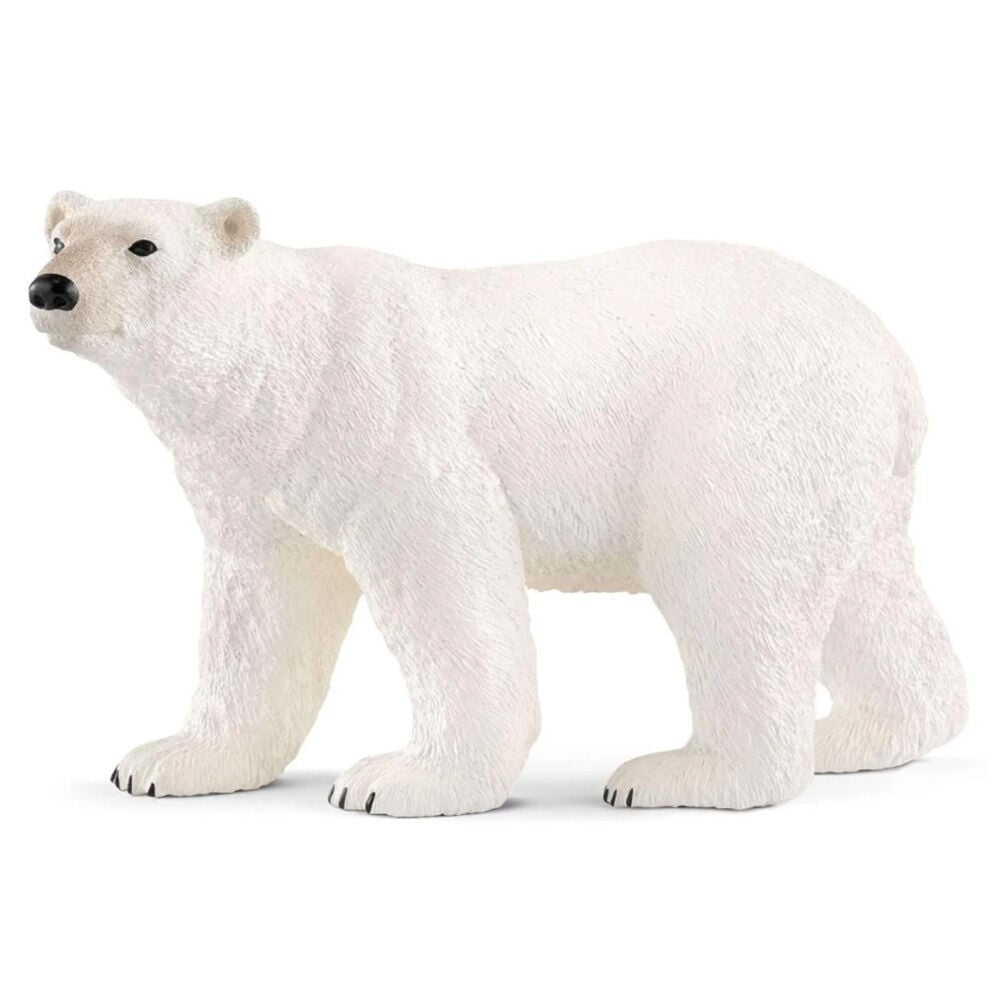 image of Polar Bear
