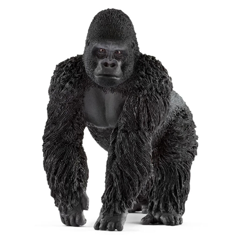 image of Gorilla, male