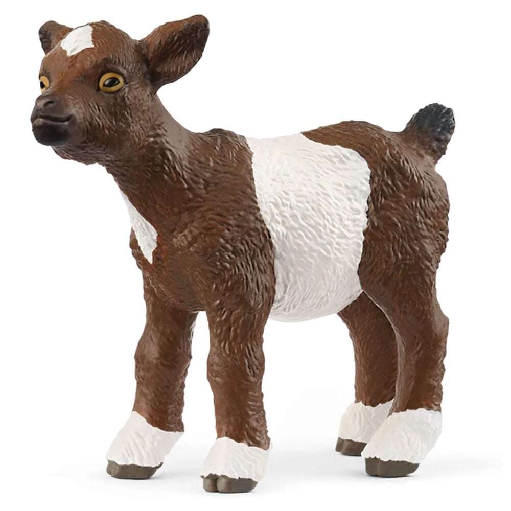 image of Goat, kid