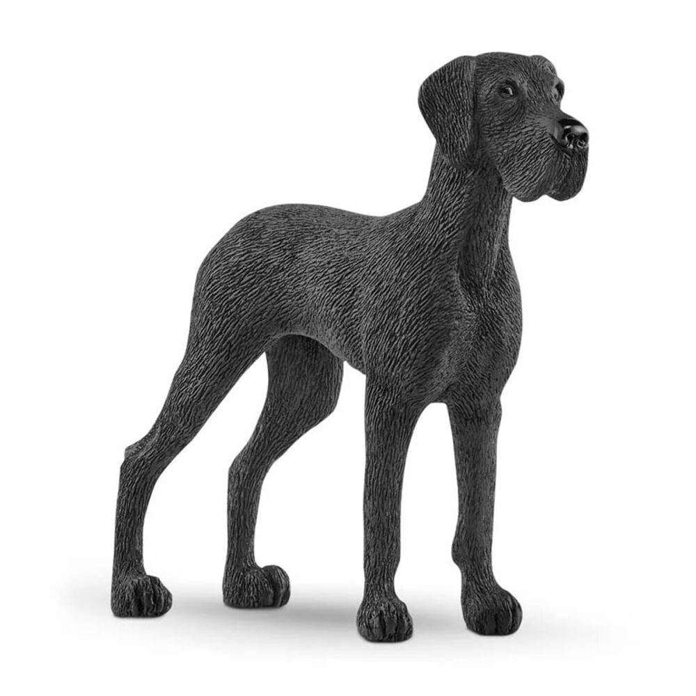 image of Great Dane