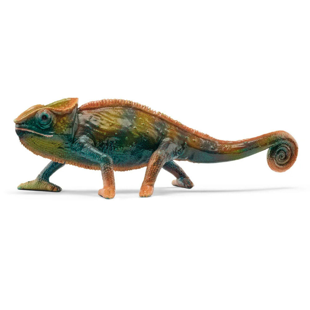 image of Chameleon