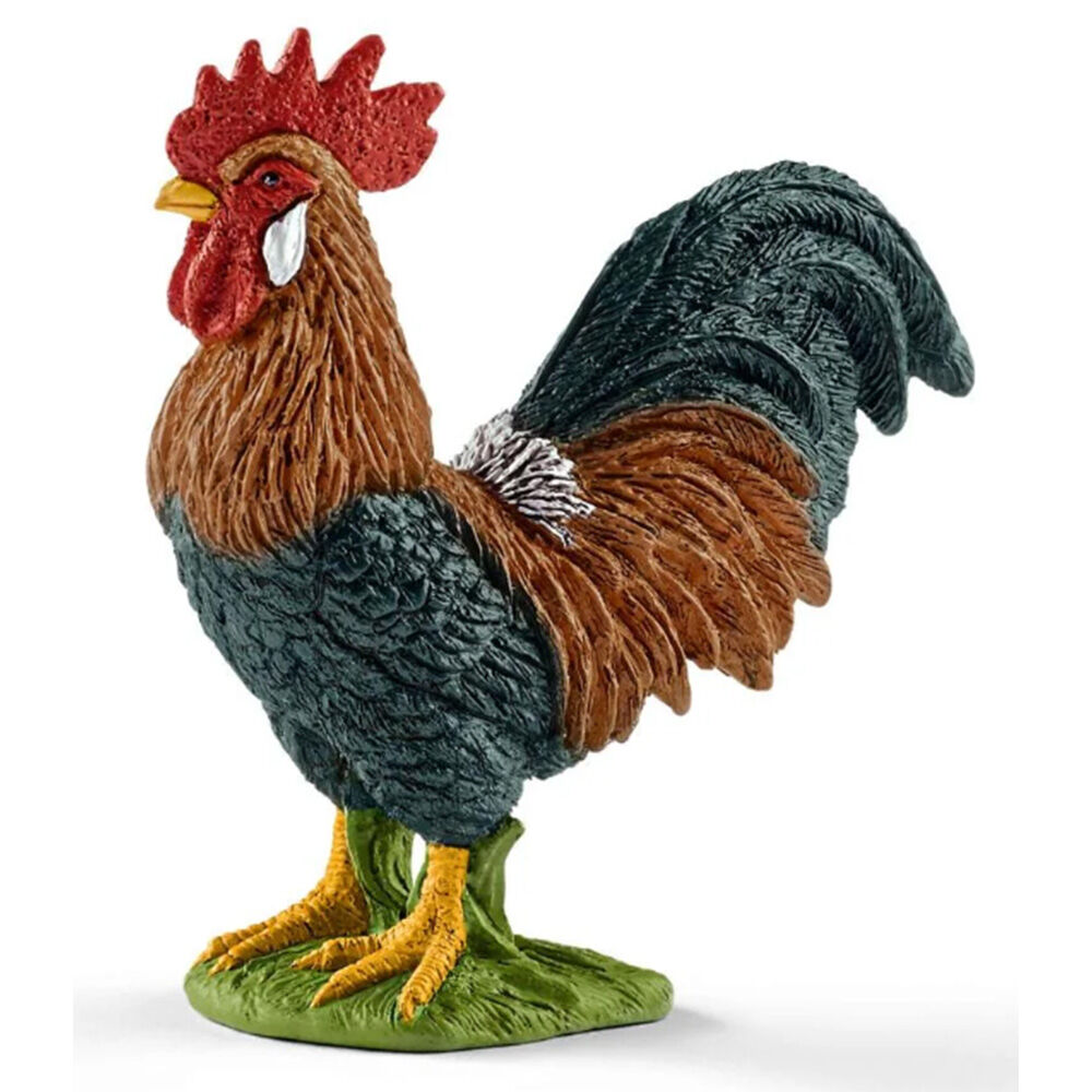 image of Rooster