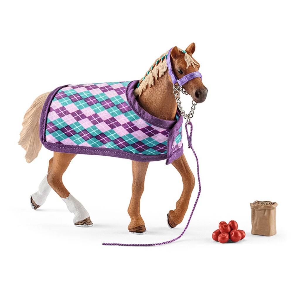 image of English Thoroughbred with Blanket