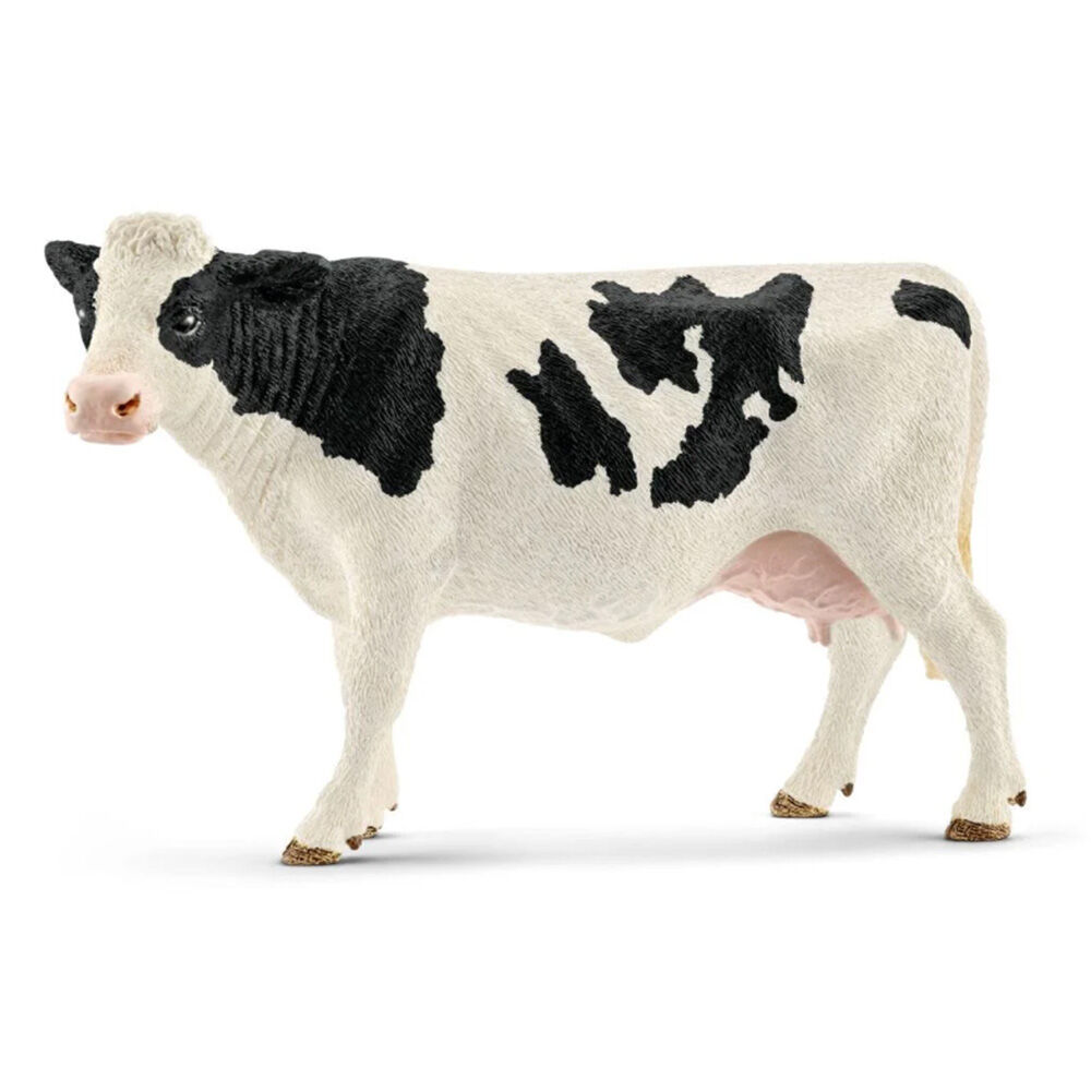 image of Holstein, cow