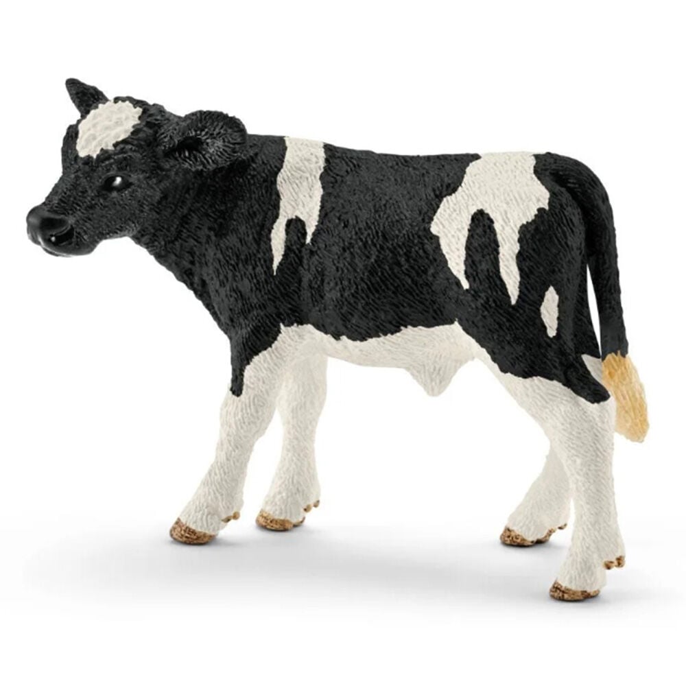 image of Holstein, calf