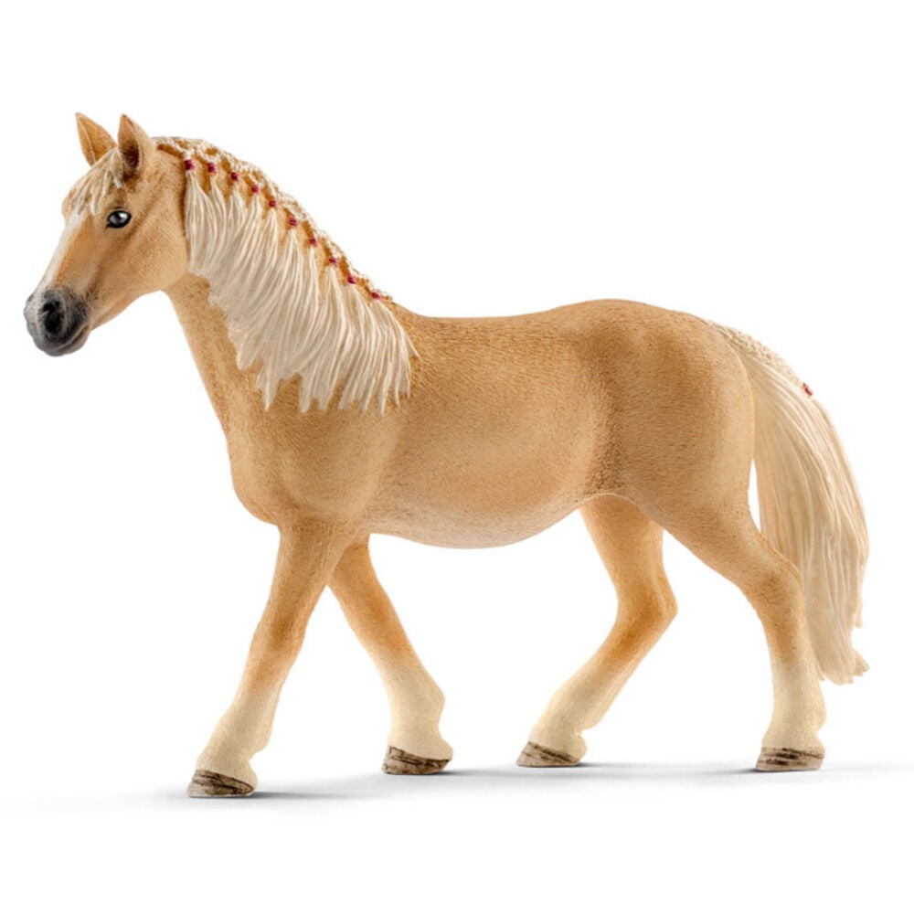 image of Haflinger, mare