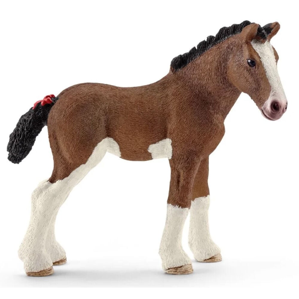 image of Clydesdale, foal