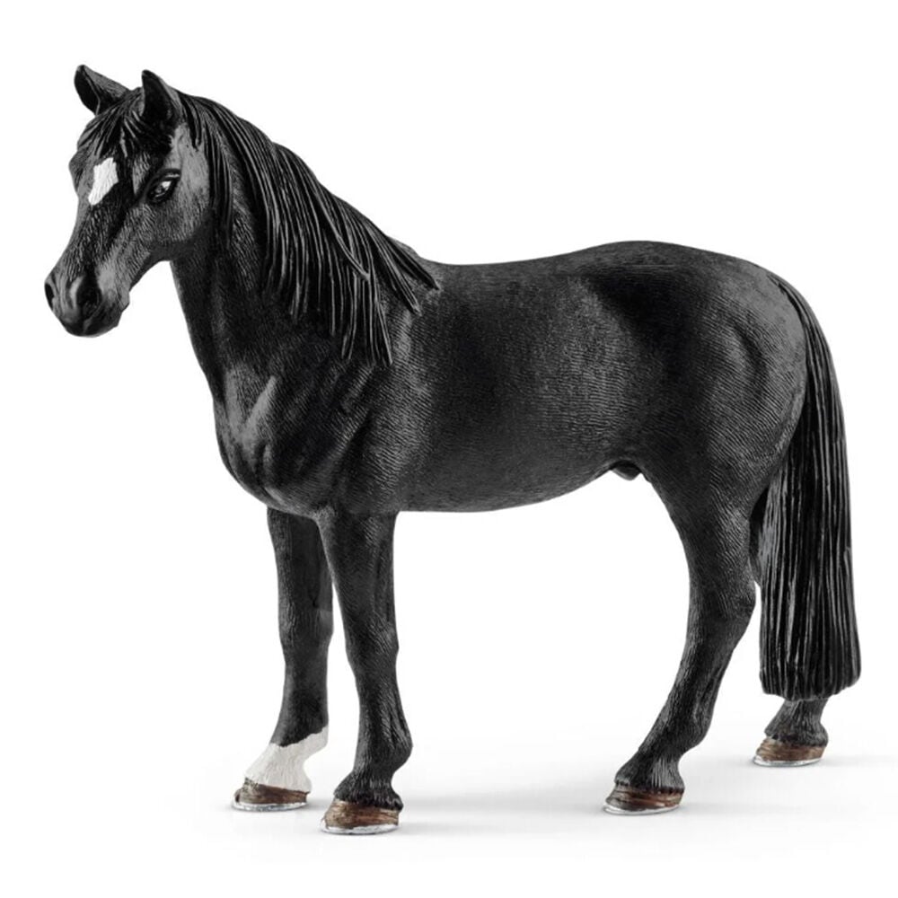 image of Tennessee Walker, gelding