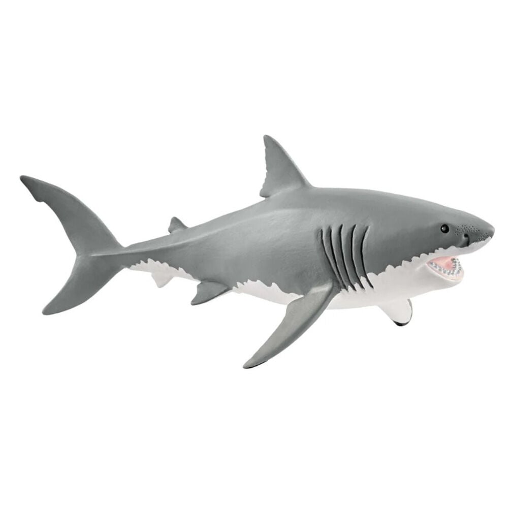 image of Great White Shark