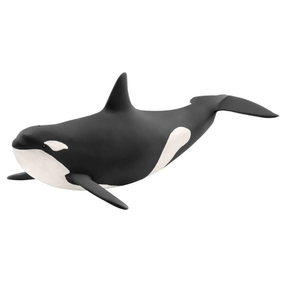 image of Killer Whale