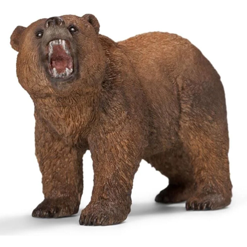 image of Grizzly Bear
