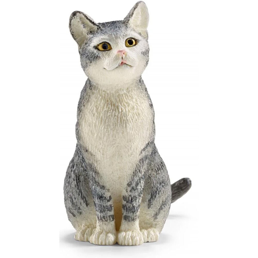 image of Cat, sitting