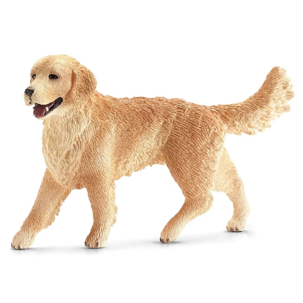 image of Golden Retriever, female