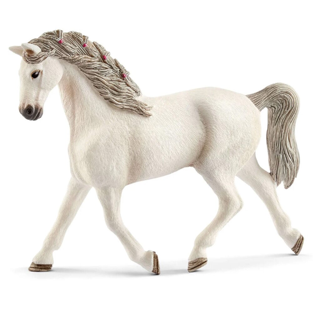 image of Holsteiner, mare