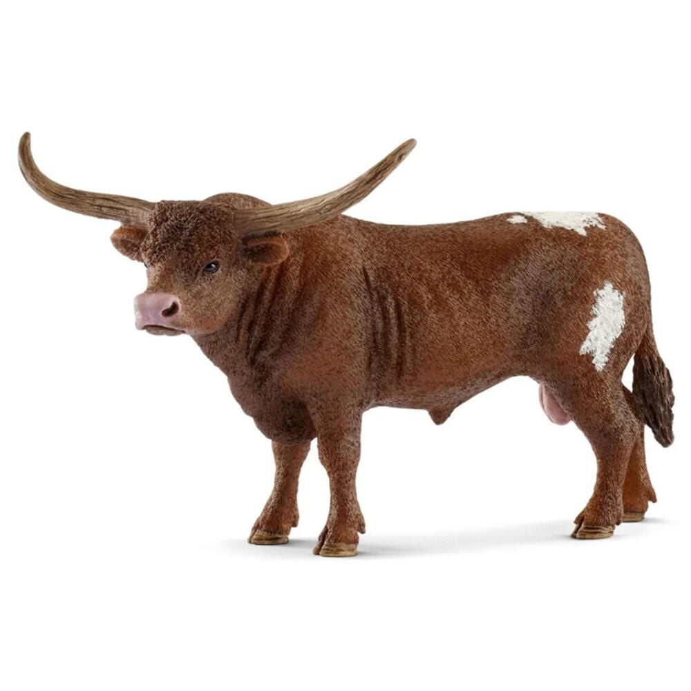 image of Texas Longhorn, bull
