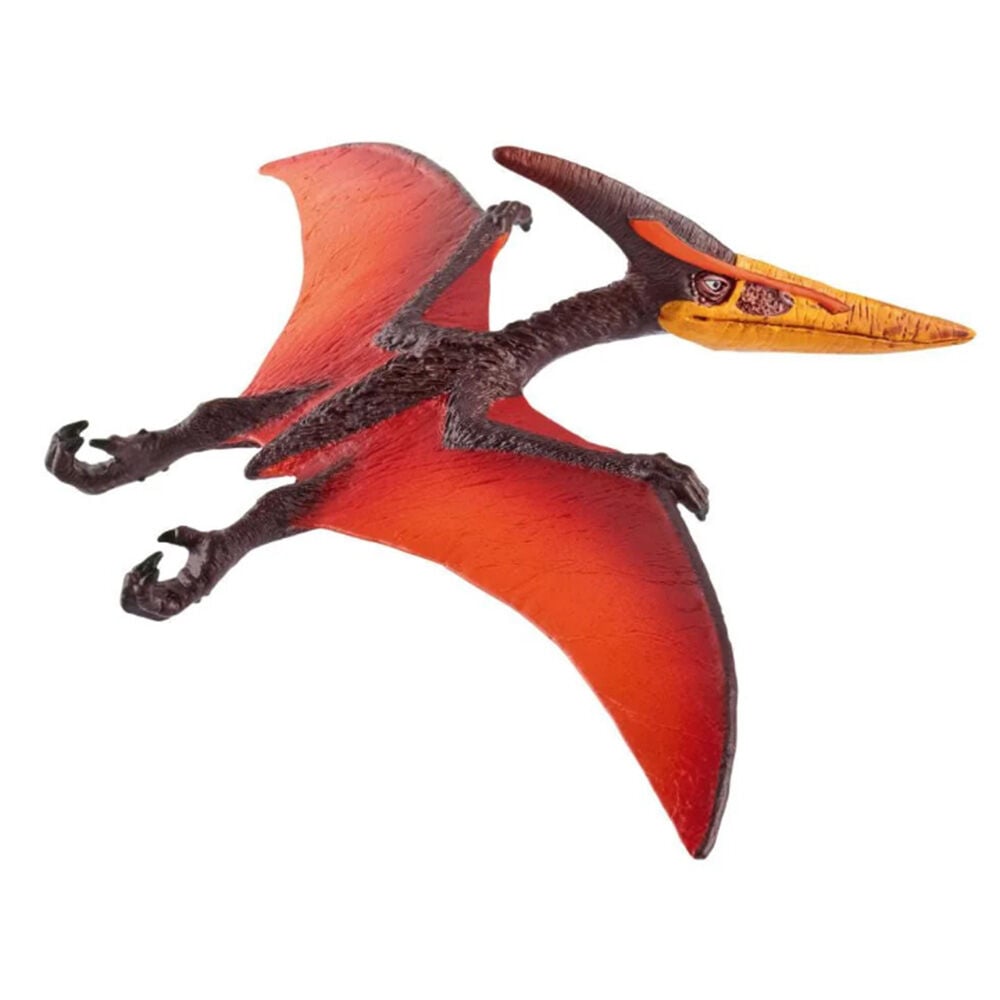 image of Pteranodon